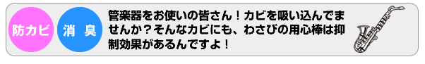 管楽器をお使いの皆さん！カビを吸い込んでま